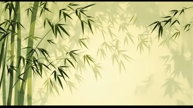 竹影婆娑 - 69视频竹影清风影像
